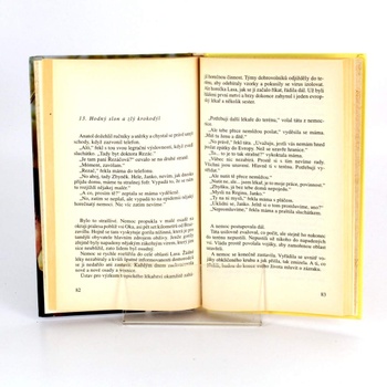 Kniha Panenka z ebenového dřeva Ivona Březinová