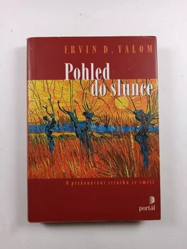 Irvin D. Yalom: Pohled do slunce