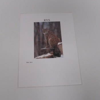 Zalaminované obrázky zvířat 22×30 cm