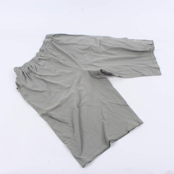 Pánské šortky Coondoor odstín šedé
