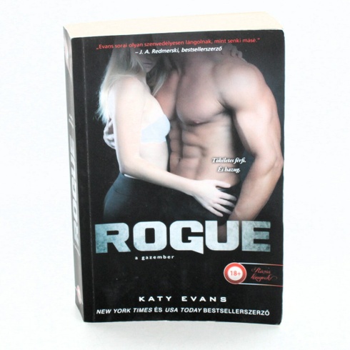 Erotický román Rogue - A gazember
