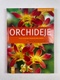 Zahrada pro radost: Orchideje (6)
