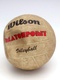 Volejbalový míč Wilson Matchpoint