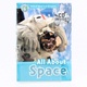 Kolektiv autorů: All About space