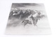 Obraz Ikea: Stádo koní s honákem černobílý