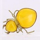 Brož ve tvaru žlutého hmyzu 6 cm