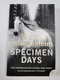 Michael Cunningham: Specimen Days