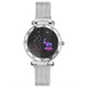 Smartwatch IMMAX SW12 (09018) stříbrné