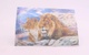 Obrazy s motivy lvů a srnce