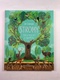 Jen Green: Stromy – Jejich kouzlo a tajemství