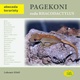 Pagekoni rodu Rhacodactylus - Abeceda teraristy