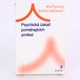 Kniha Psychická úskalí pomáhajících profesí