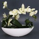 Umělá květina Flair Flower, bílá orchidej